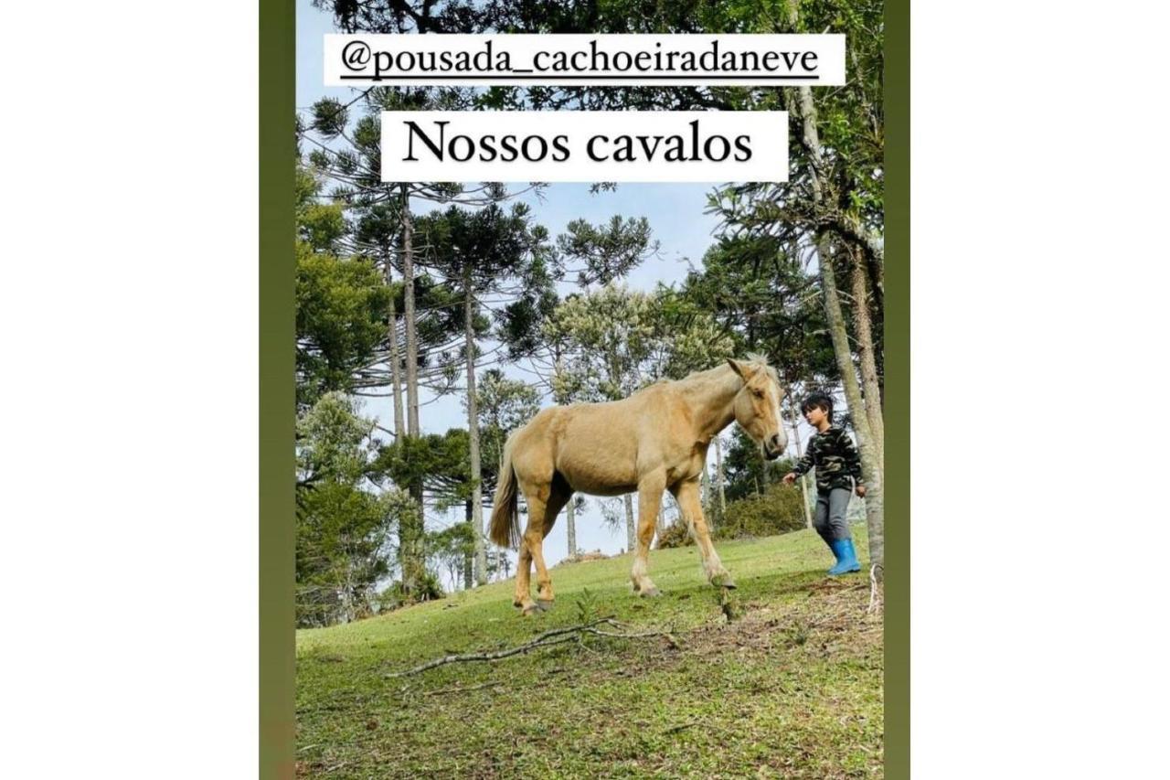 Floresta Secreta- Pousada Cachoeira Da Neve Urubici Kültér fotó