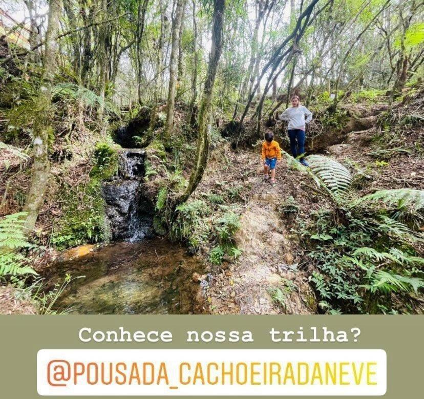 Floresta Secreta- Pousada Cachoeira Da Neve Urubici Kültér fotó