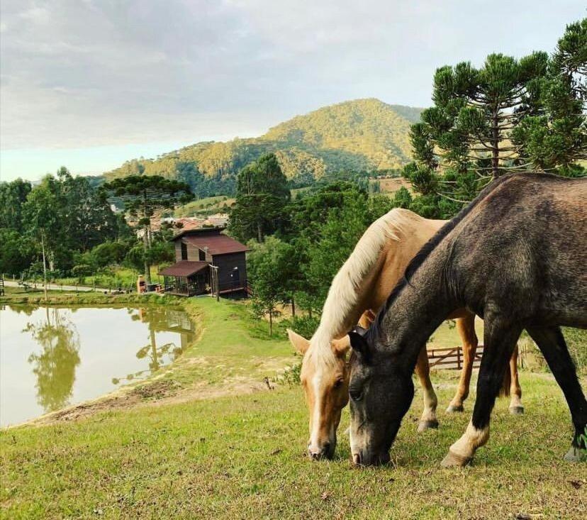 Floresta Secreta- Pousada Cachoeira Da Neve Urubici Kültér fotó