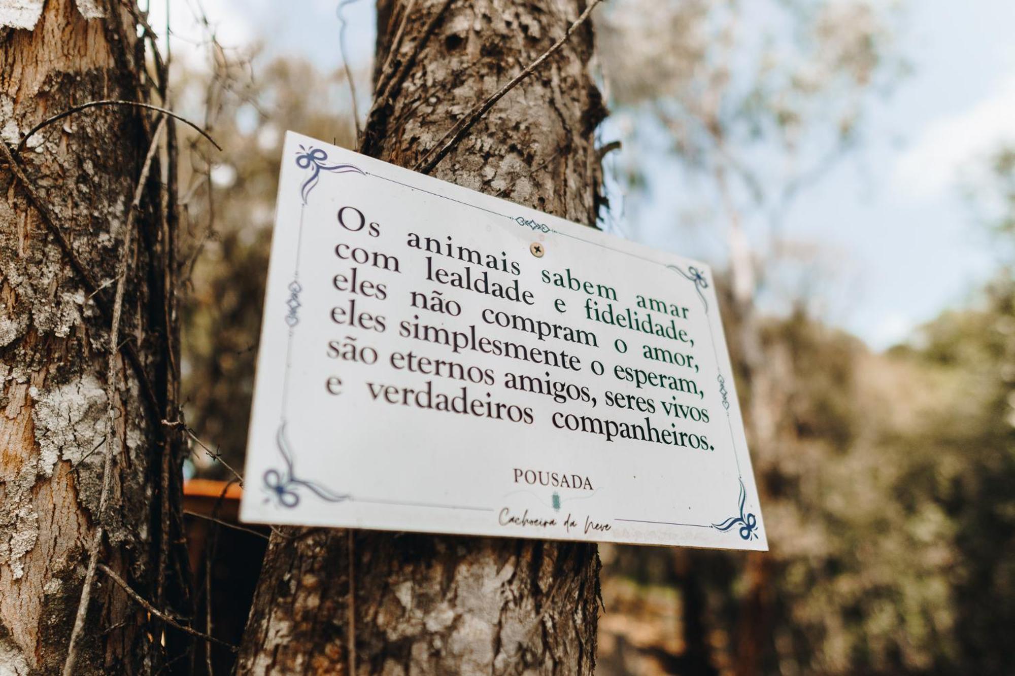 Floresta Secreta- Pousada Cachoeira Da Neve Urubici Kültér fotó